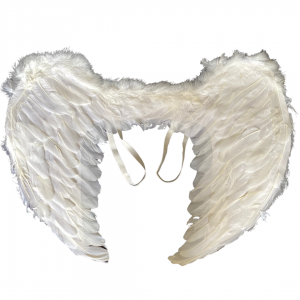 C306 - ASA DE ANJO COM PENA BRANCA 55X40 cm      